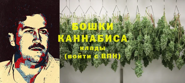 MDMA Белокуриха