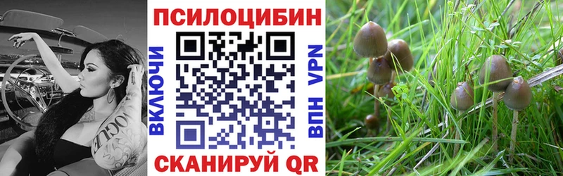 Псилоцибиновые грибы MAGIC MUSHROOMS  где найти наркотики  Покровск 